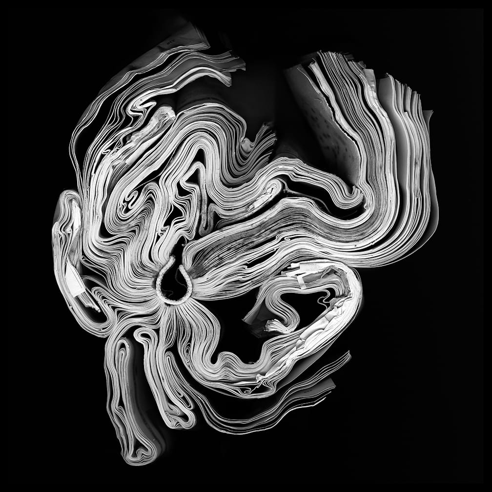 Leap — artwork by Cara Barer.