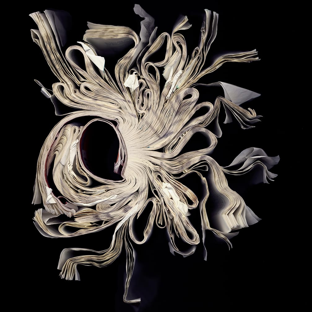 Anthology — artwork by Cara Barer.