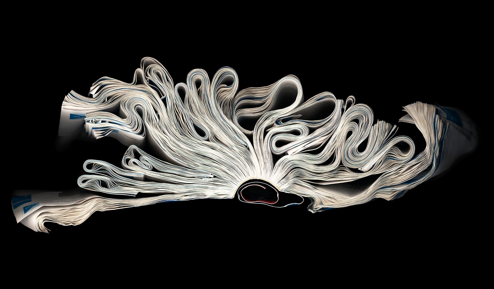 How To — artwork by Cara Barer.