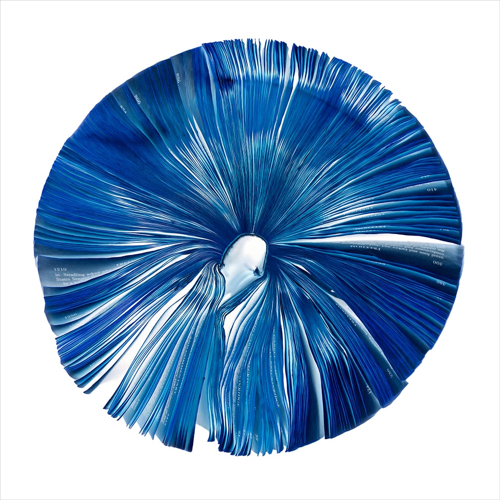 Indigo — artwork by Cara Barer.