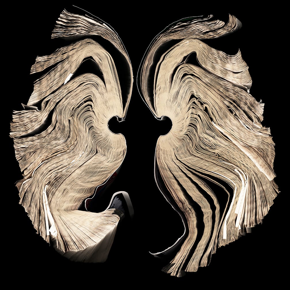 Leo — artwork by Cara Barer.