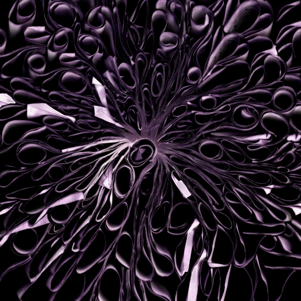 Maze — artwork by Cara Barer.