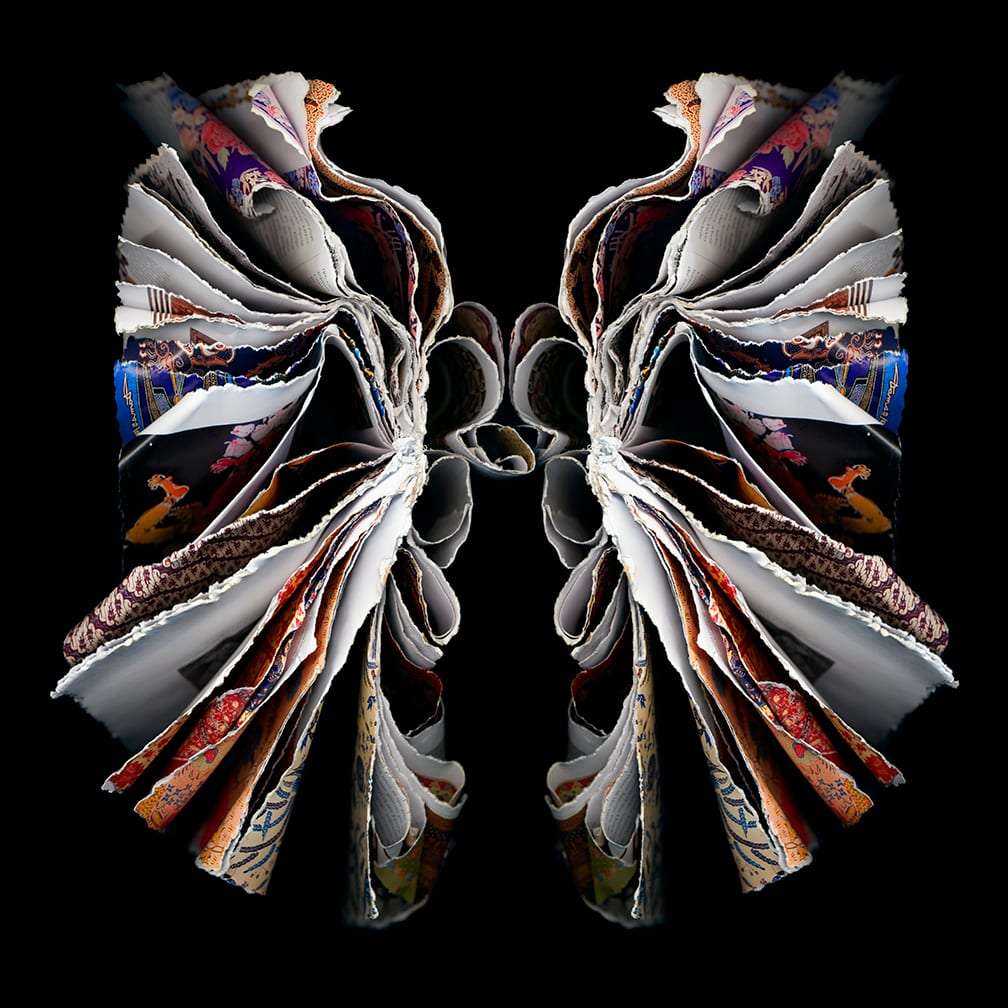 Moth — artwork by Cara Barer.