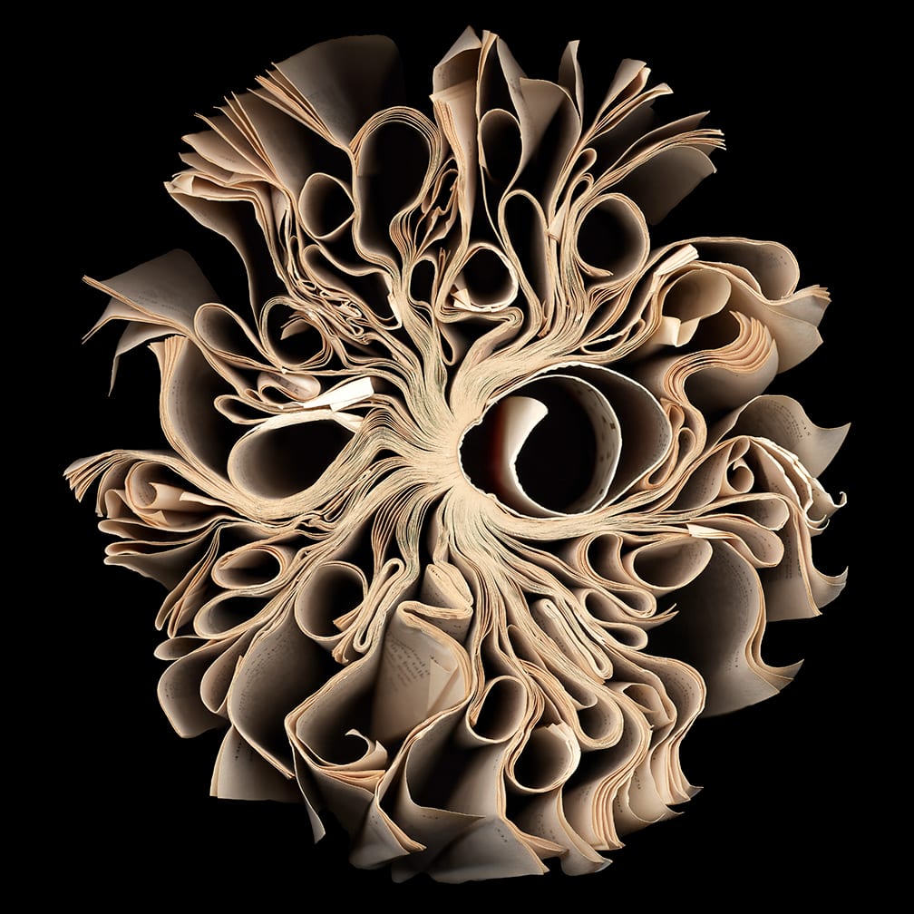 Whirligig — artwork by Cara Barer.