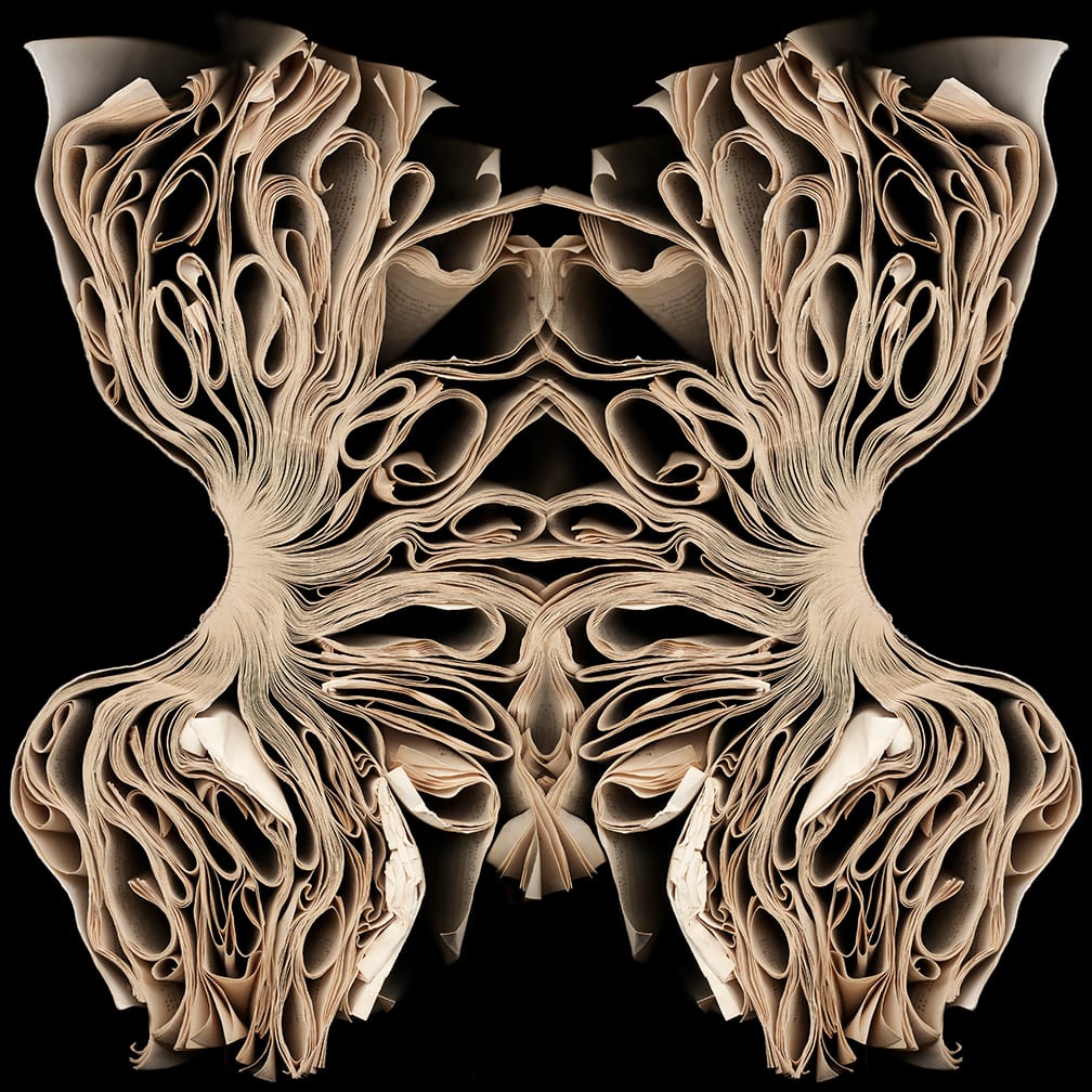 Torso — artwork by Cara Barer.