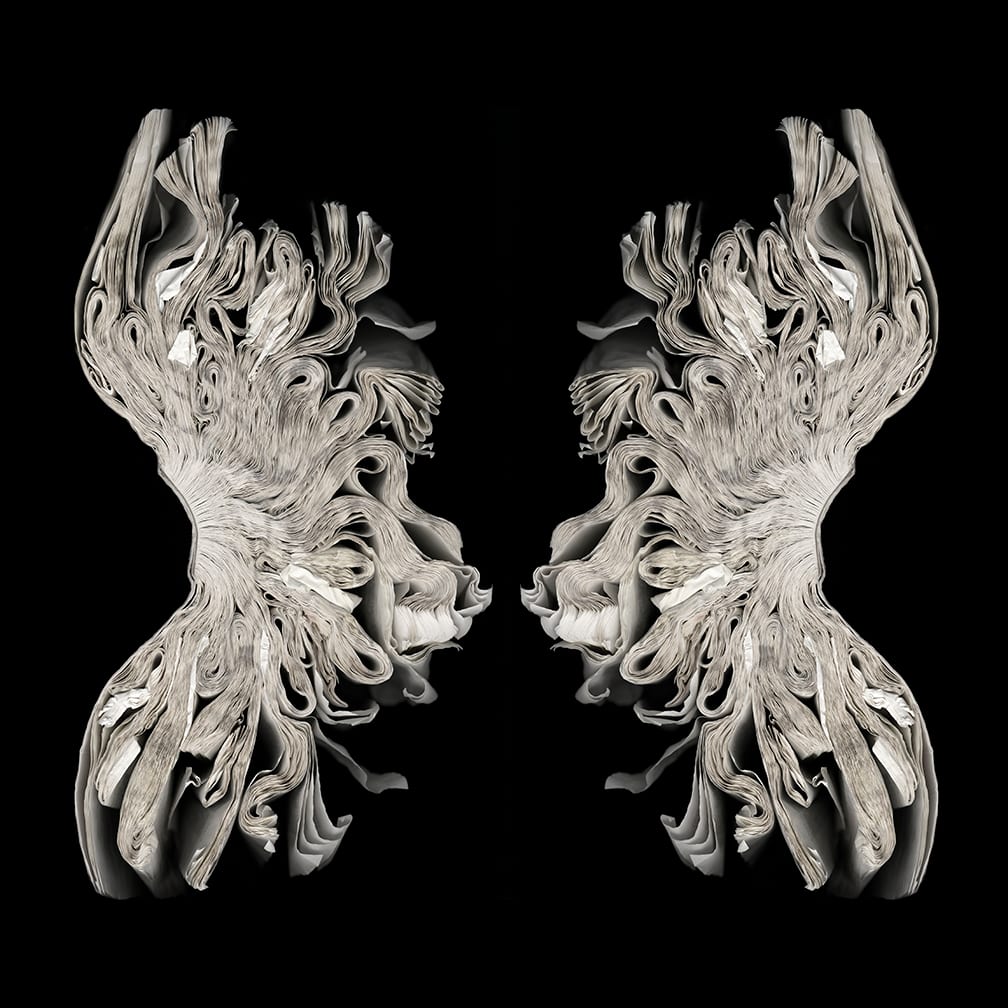Corset — artwork by Cara Barer.