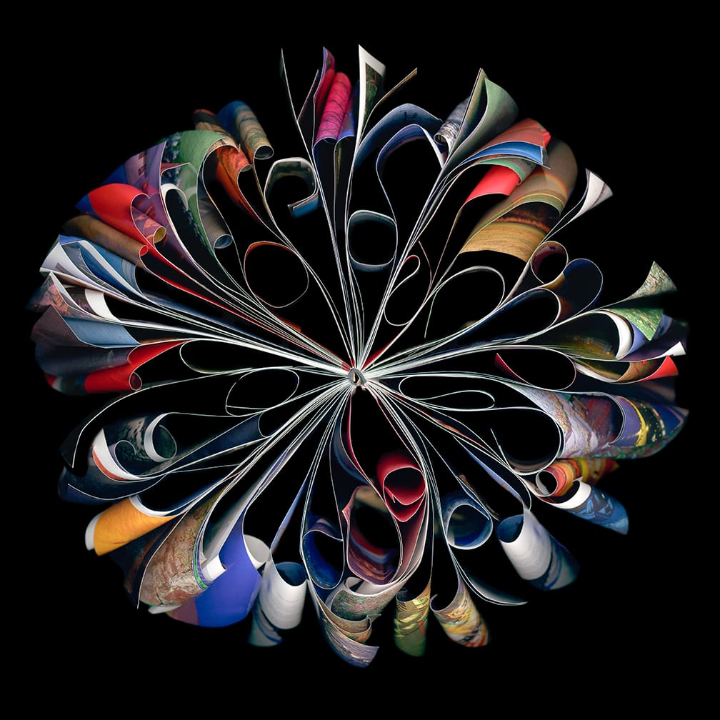 Carousel — artwork by Cara Barer.