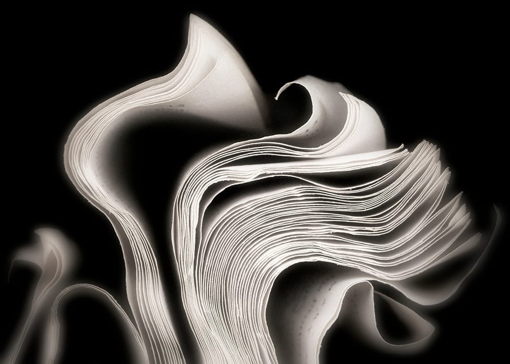 Wave and Fog — artwork by Cara Barer.