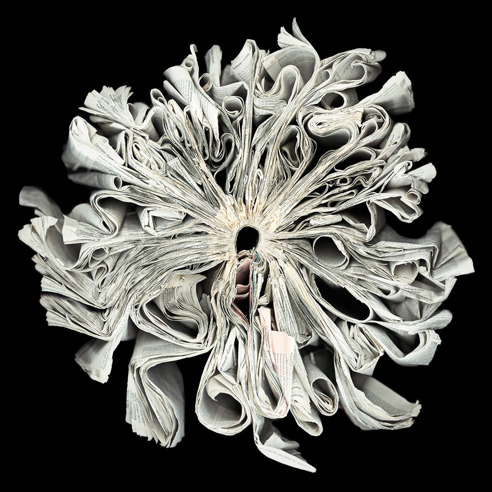 PDR — artwork by Cara Barer.