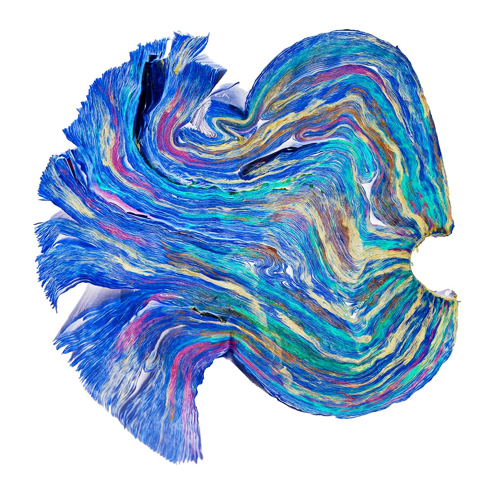 Bluefish — artwork by Cara Barer.