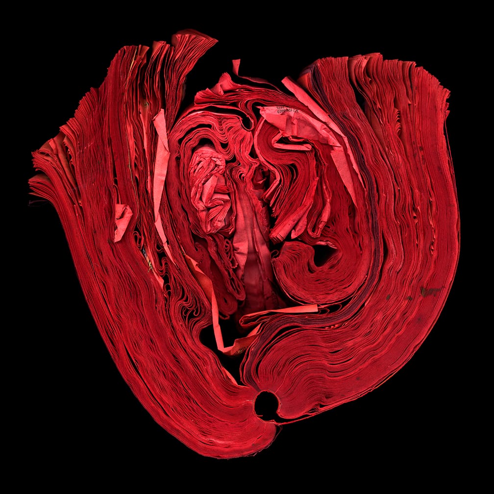 Heart — artwork by Cara Barer.