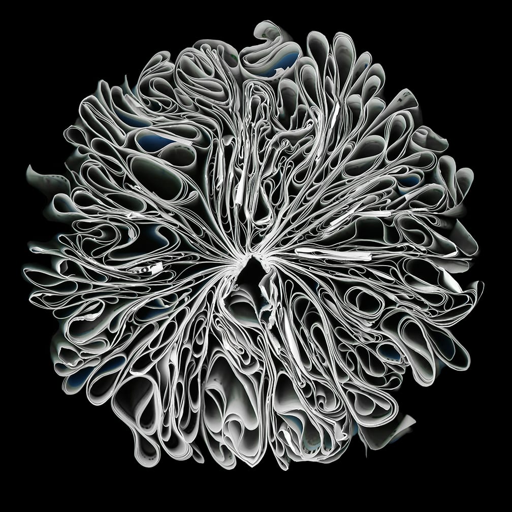 Orb — artwork by Cara Barer.