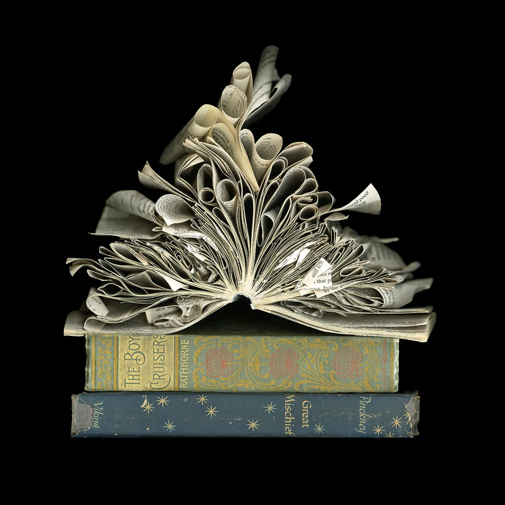 Still Life #2 — artwork by Cara Barer.