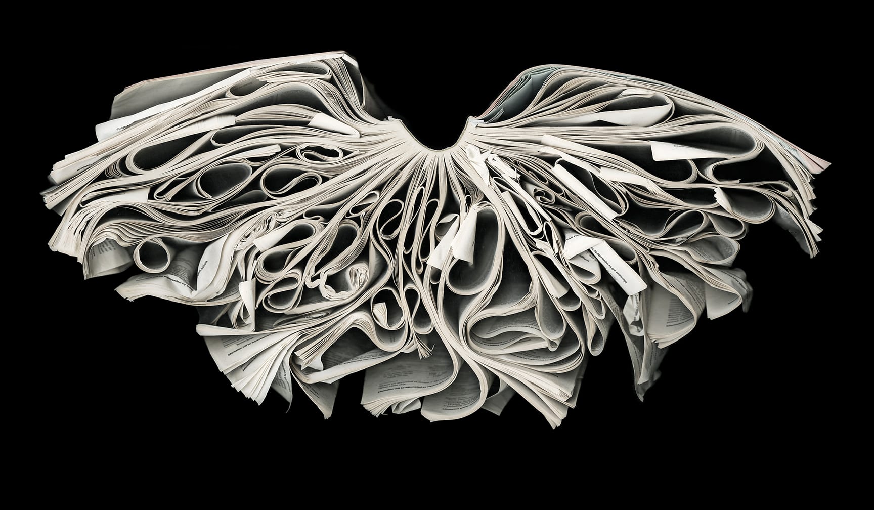 Venatrix — artwork by Cara Barer.