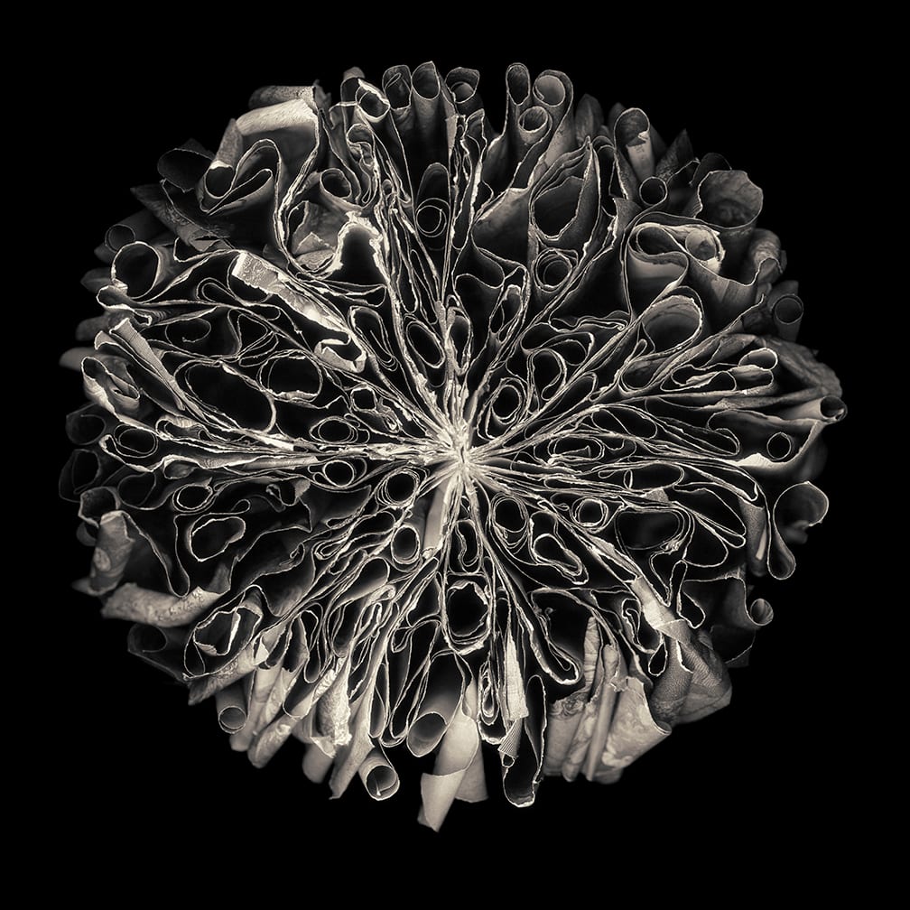 Engraved — artwork by Cara Barer.
