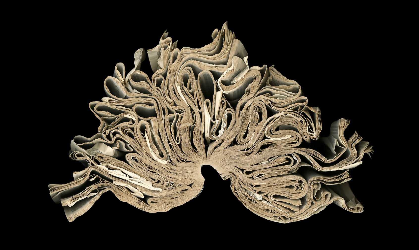 2012 White Pages — artwork by Cara Barer.