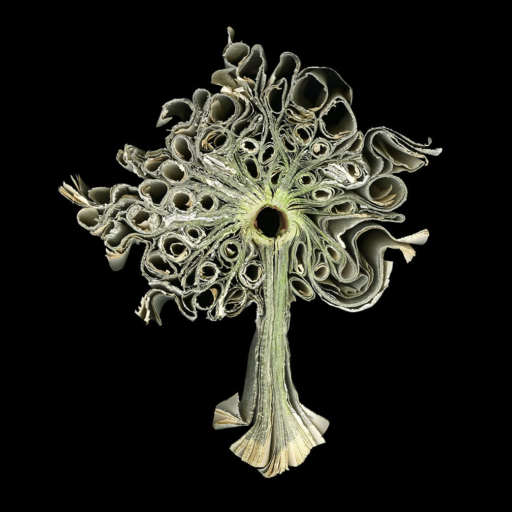 The Word Tree — artwork by Cara Barer.