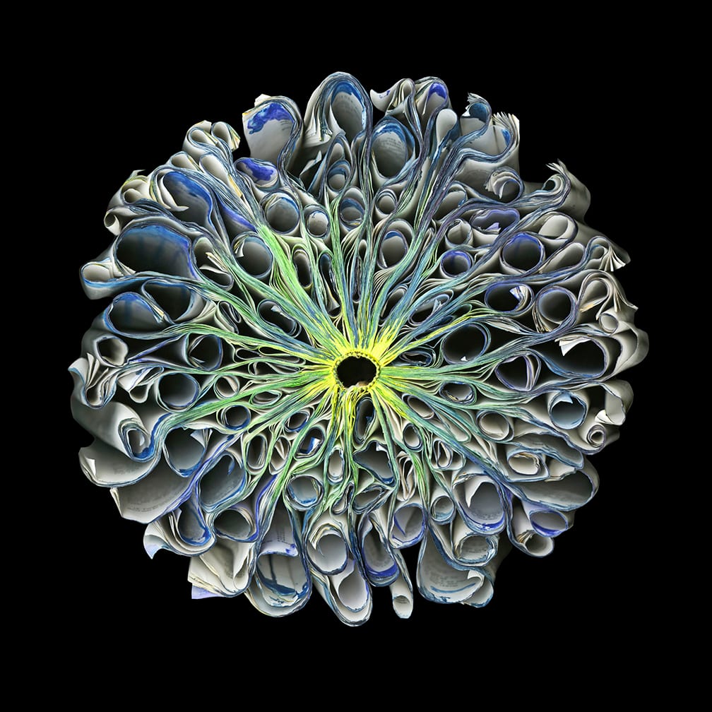 2013 - 36 — artwork by Cara Barer.