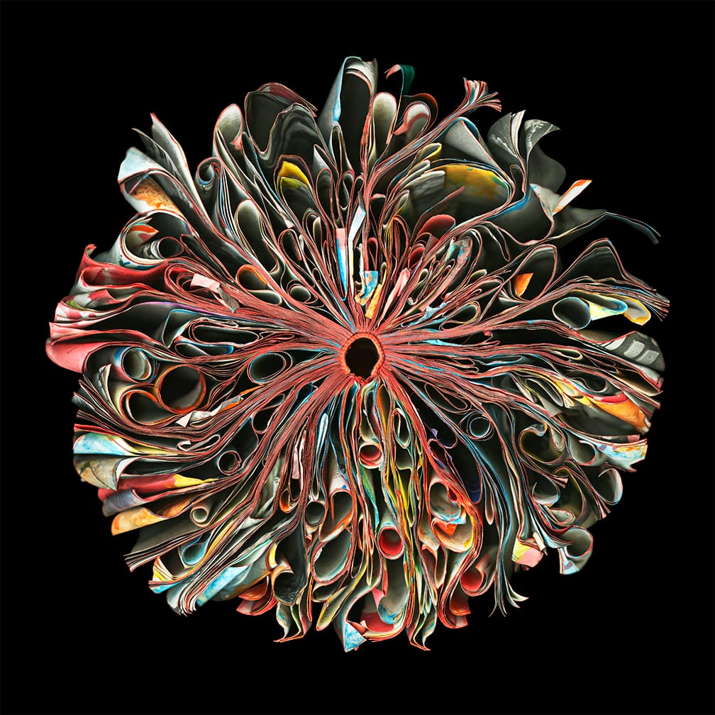 Sunset — artwork by Cara Barer.