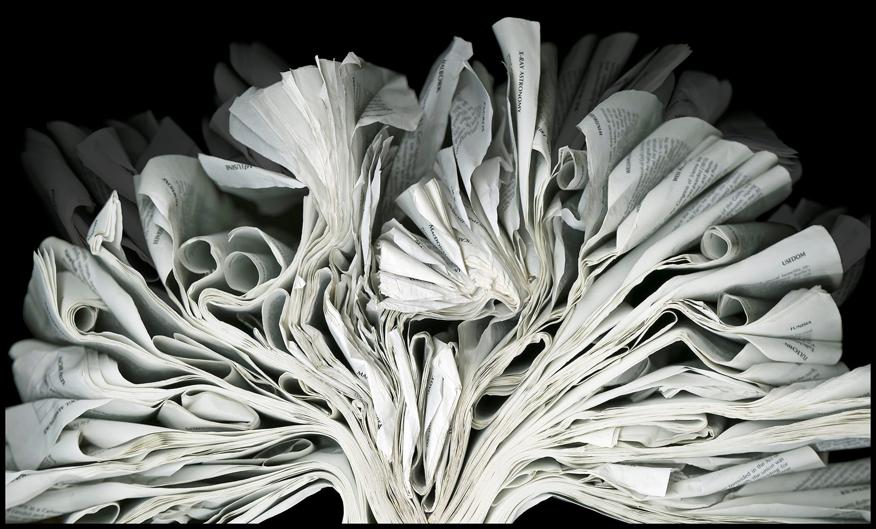 Iceberg — artwork by Cara Barer.