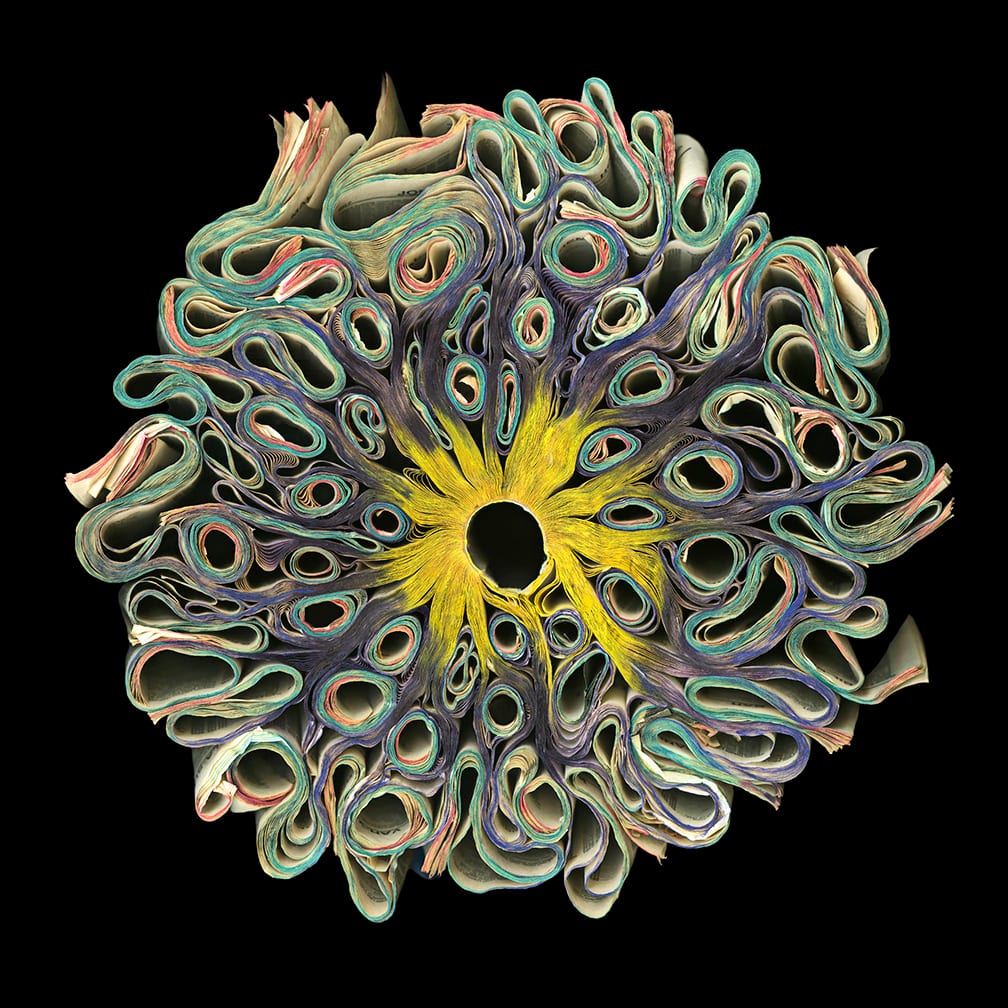 Psychedelic — artwork by Cara Barer.