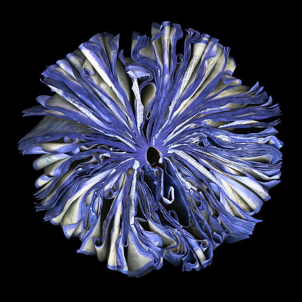 Lilac — artwork by Cara Barer.