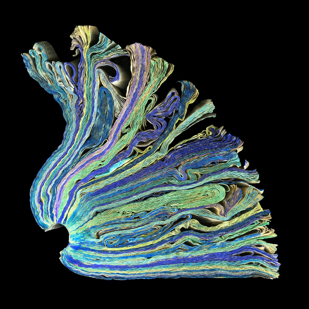Ocean — artwork by Cara Barer.