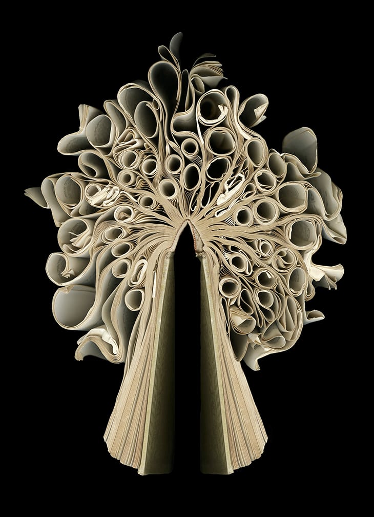 P Z — artwork by Cara Barer.