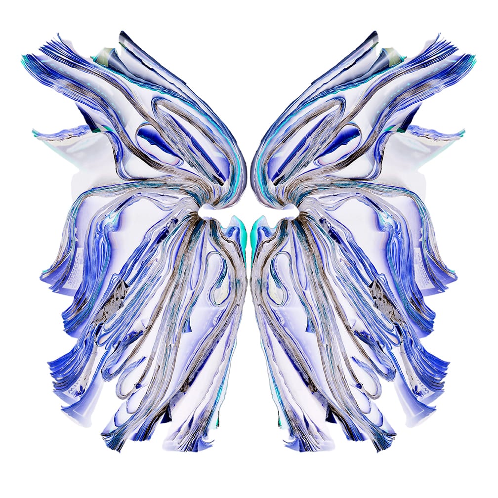 Blue Butterfly — artwork by Cara Barer.