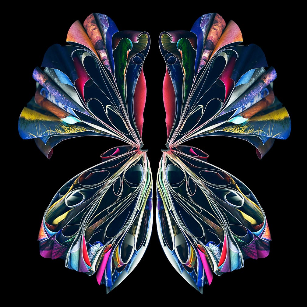 Empress — artwork by Cara Barer.