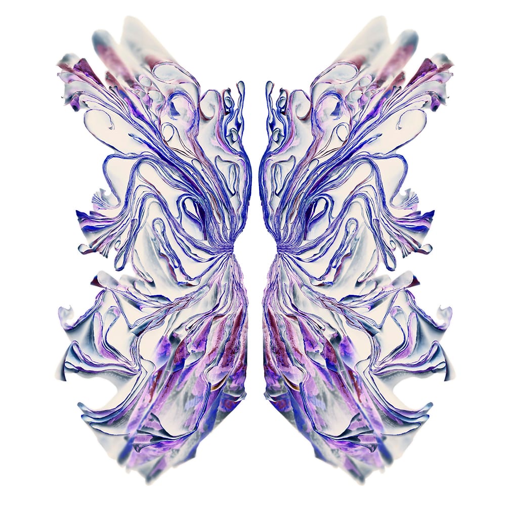 White Glider — artwork by Cara Barer.