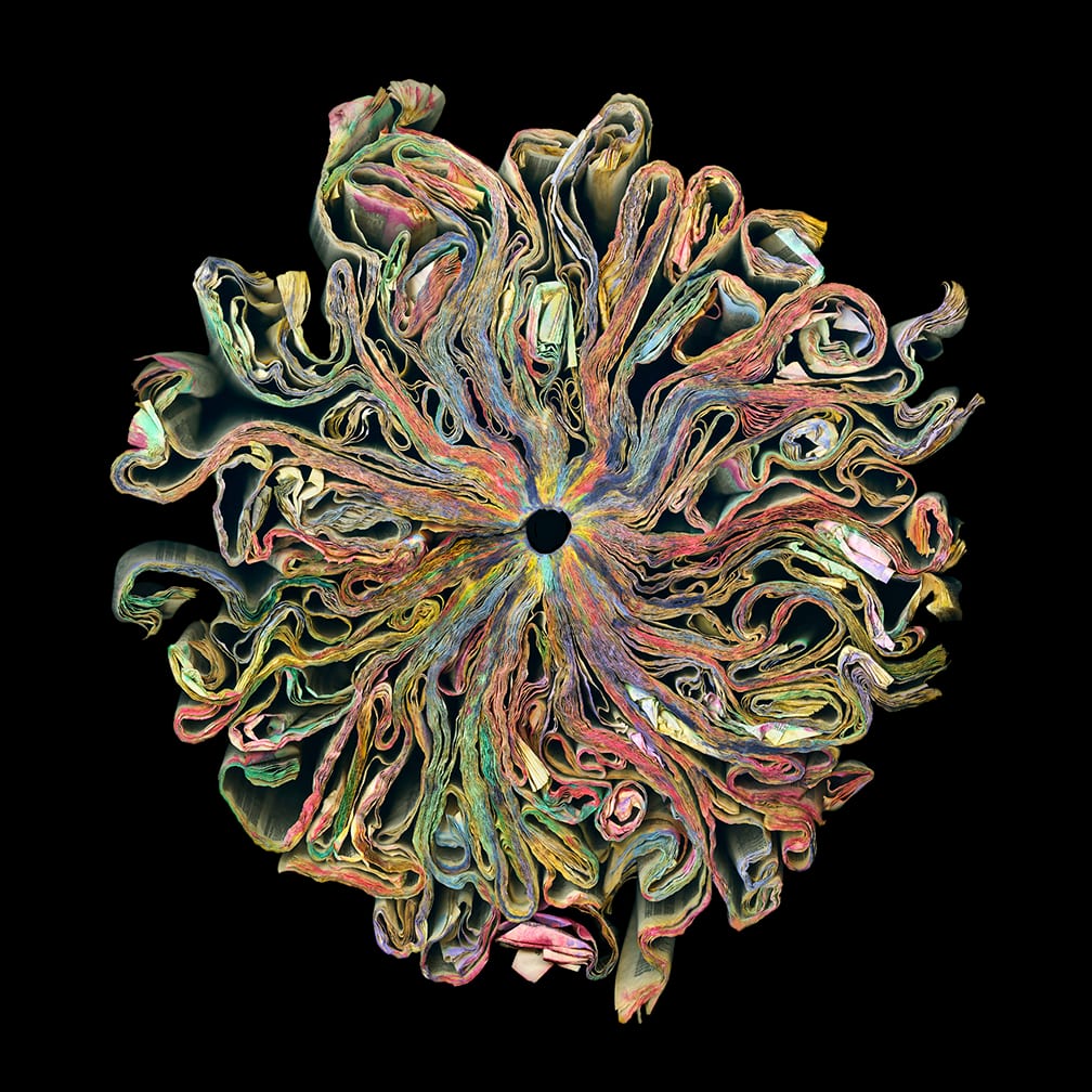 Wildflowers 2 — artwork by Cara Barer.