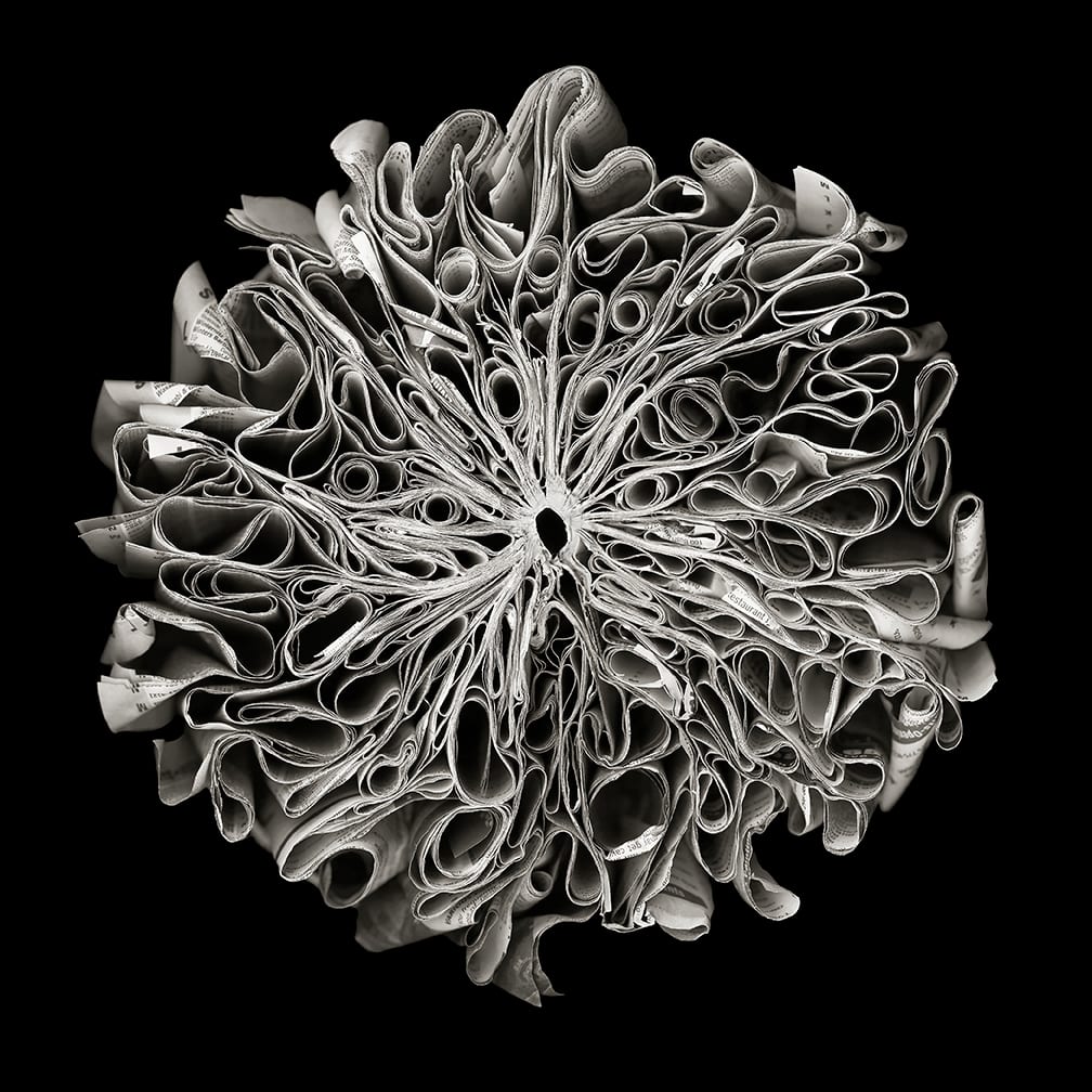 All the Names — artwork by Cara Barer.