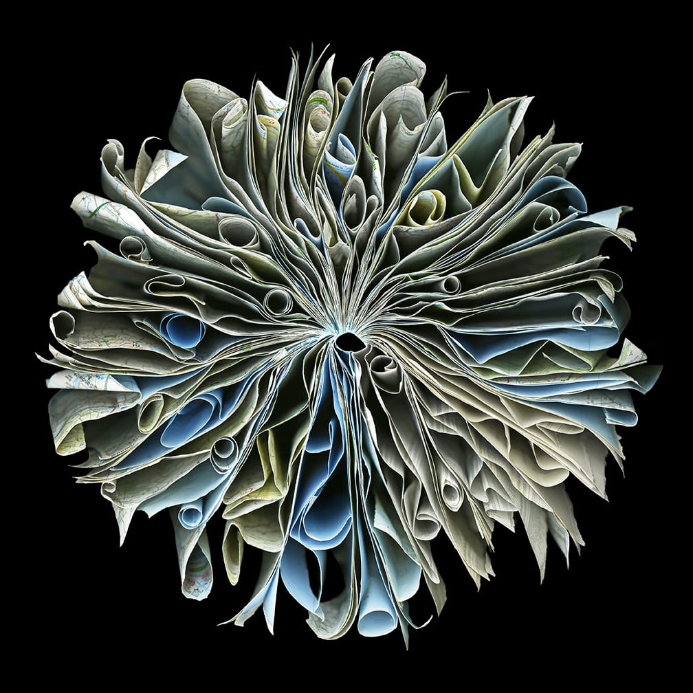Kingdom — artwork by Cara Barer.
