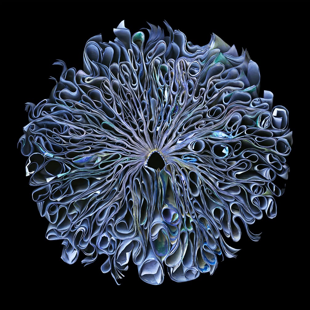 Shavasana — artwork by Cara Barer.