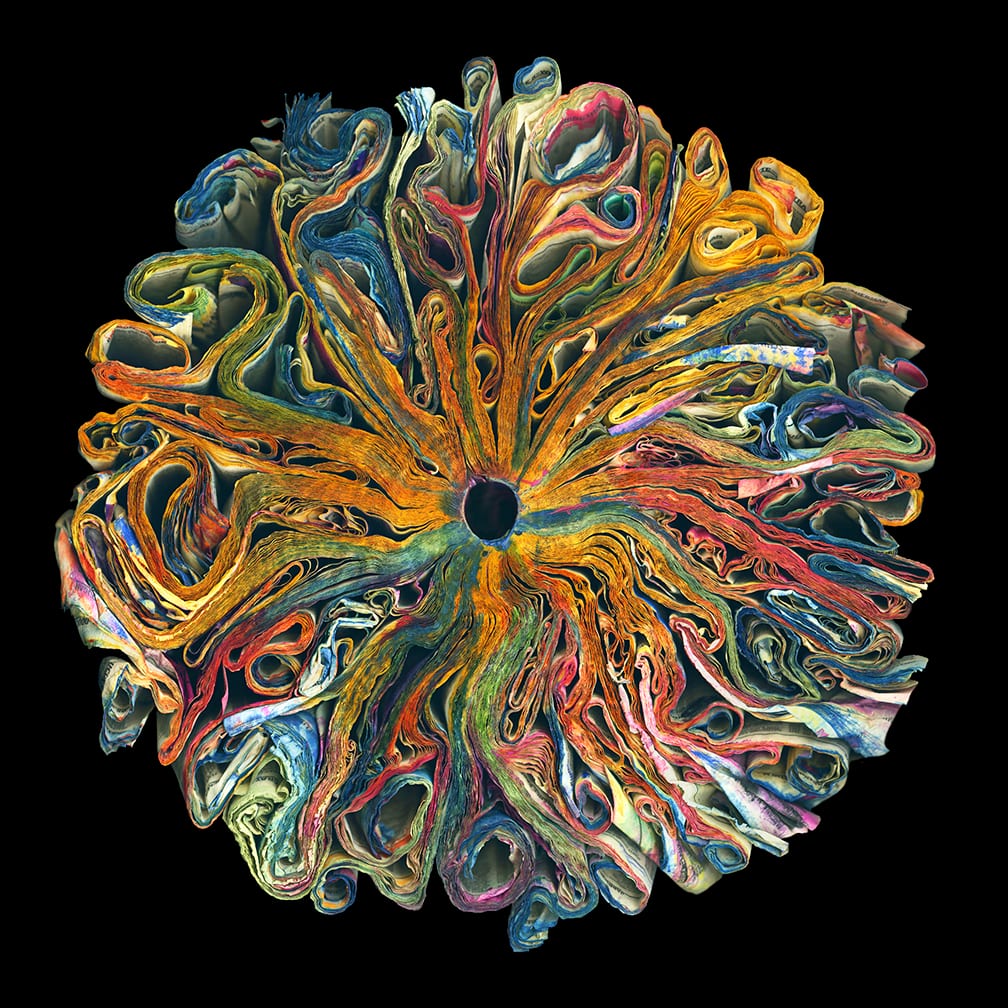 Wildflowers — artwork by Cara Barer.
