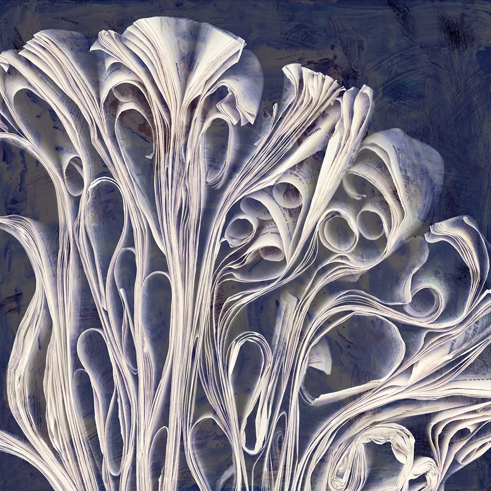 Visions — artwork by Cara Barer.