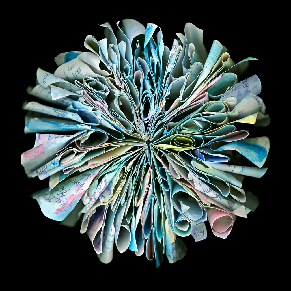 After the Flood — artwork by Cara Barer.