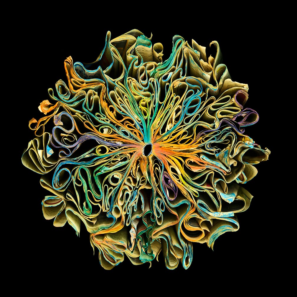 Coloring Book — artwork by Cara Barer.