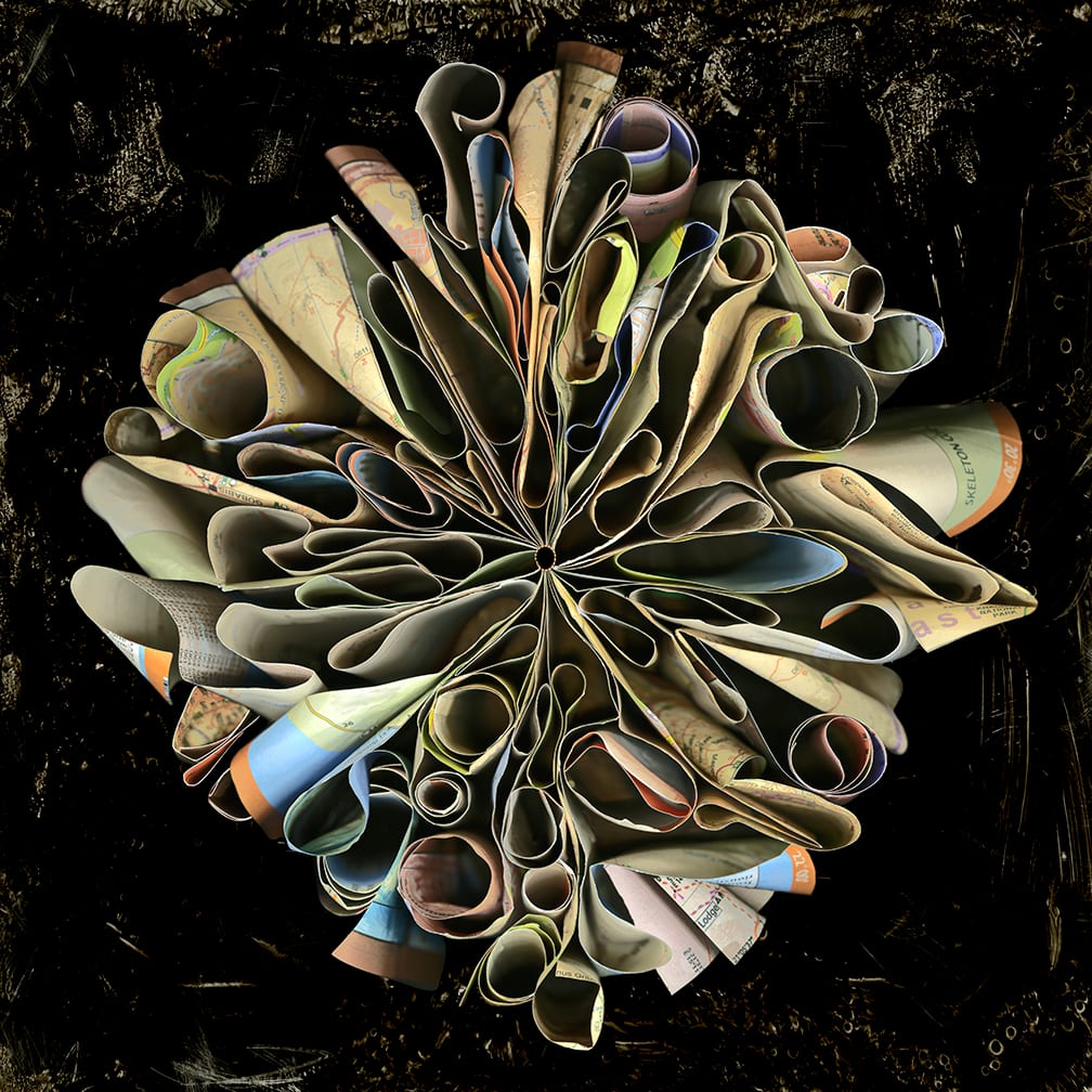 Skeleton Coast — artwork by Cara Barer.