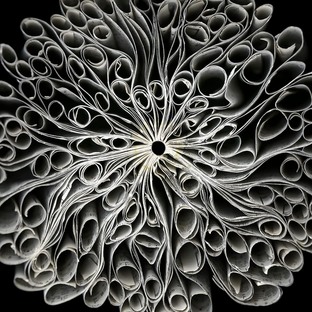 Devoted — artwork by Cara Barer.