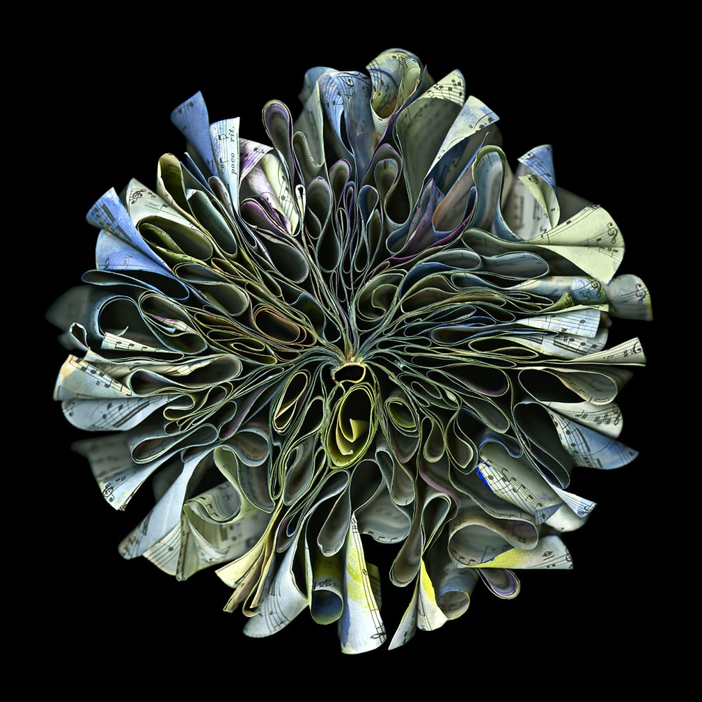 Baroque — artwork by Cara Barer.