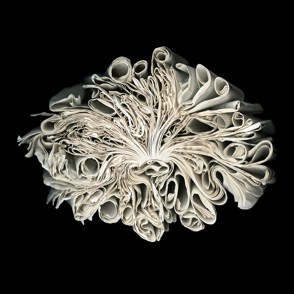 Cloud — artwork by Cara Barer.
