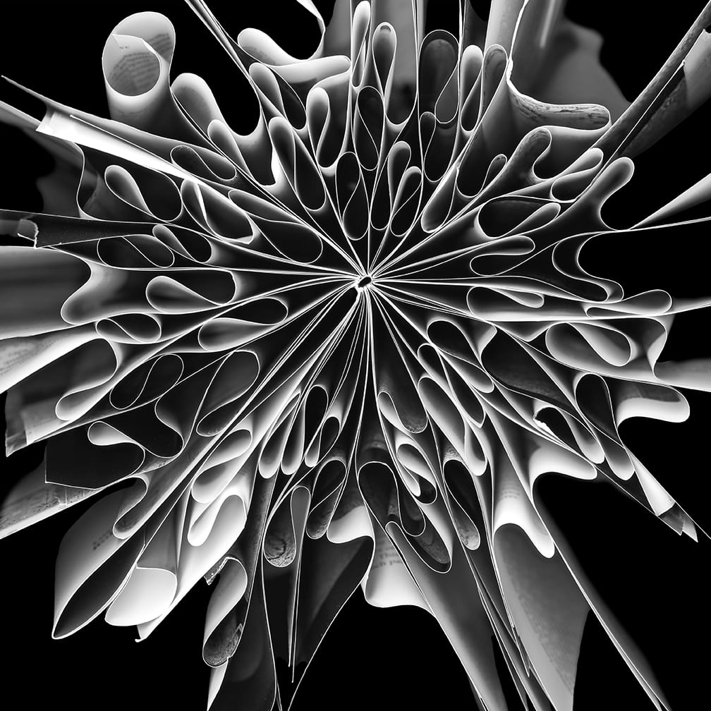 Filigree — artwork by Cara Barer.