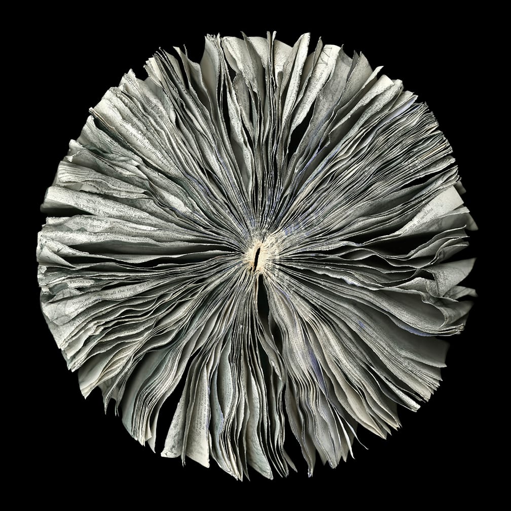 Winter — artwork by Cara Barer.