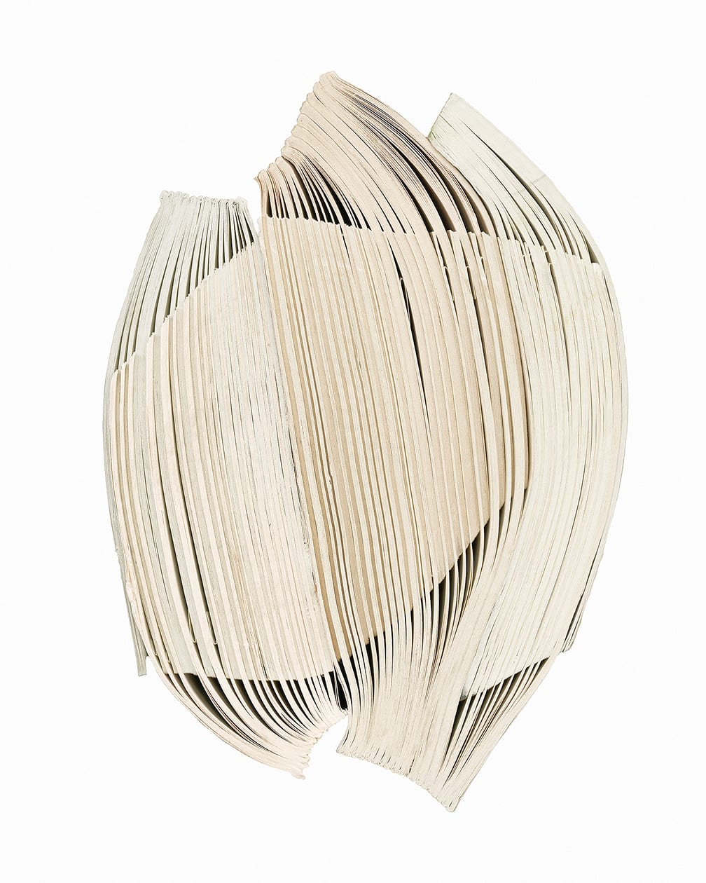 Interlocked #2 — artwork by Cara Barer.