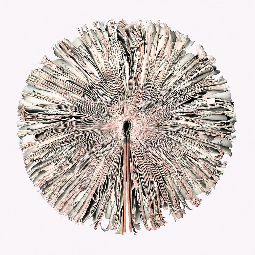 New Thesaurus — artwork by Cara Barer.