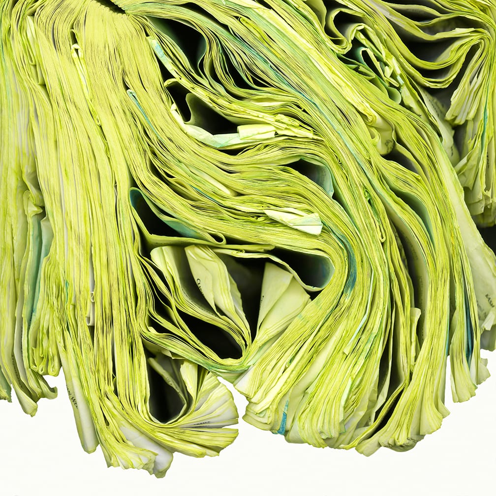 Chartreuse — artwork by Cara Barer.