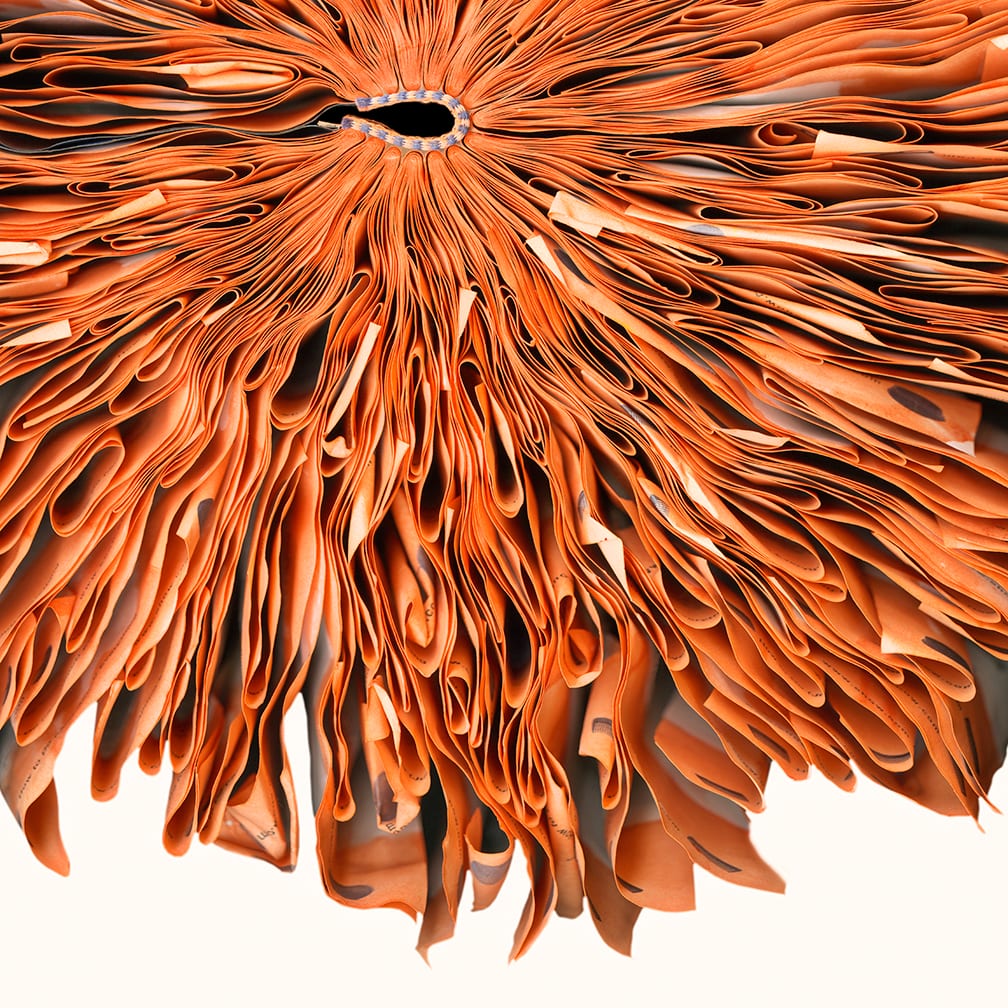Orange — artwork by Cara Barer.