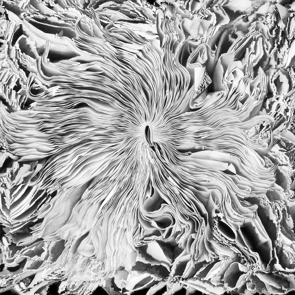Voices — artwork by Cara Barer.